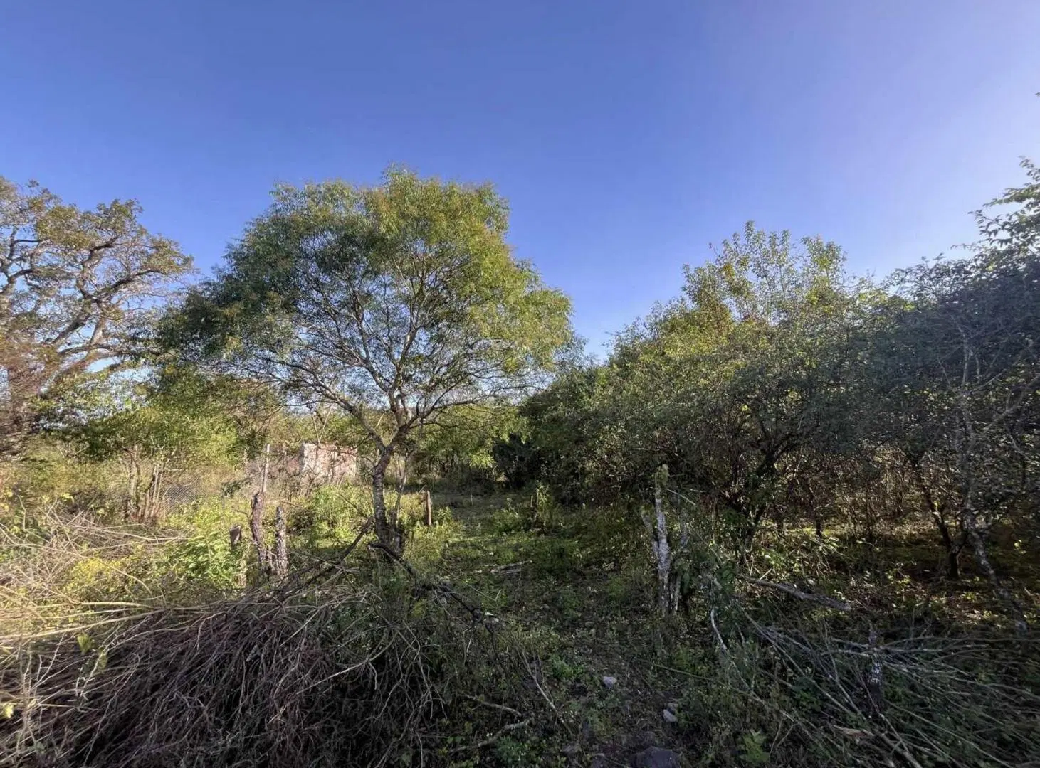 TERRENO EN VENTA EN VALLE ALEGRE LA CALDERA 5