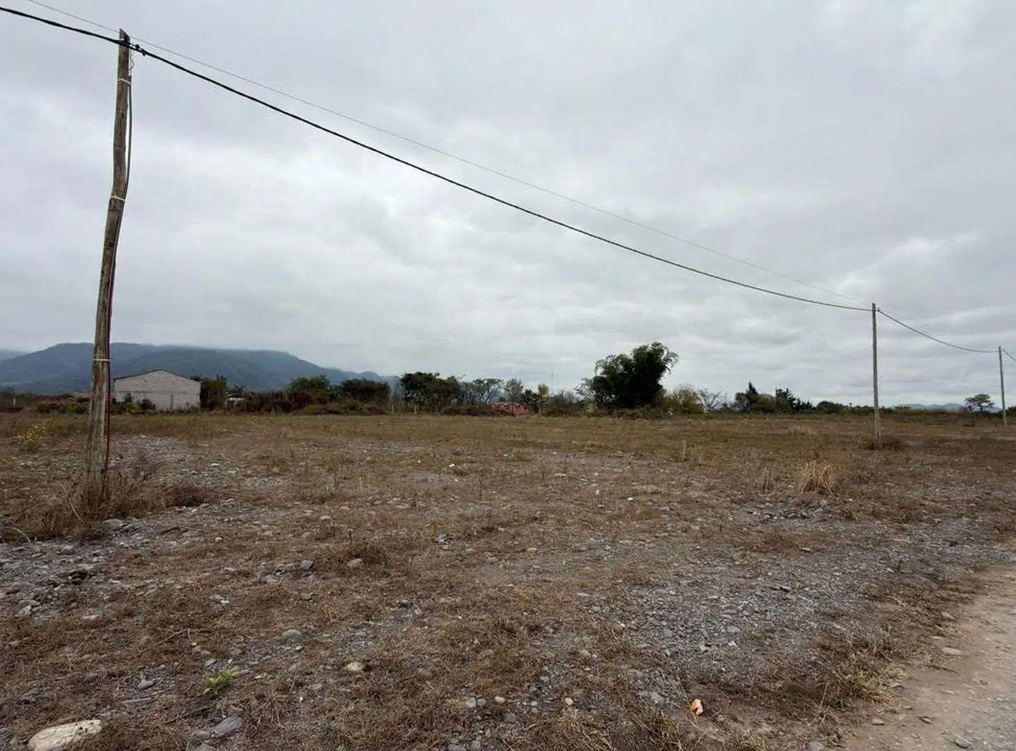 TERRENO VENTA CAMPO QUIJANO 1 HA PLANA 2