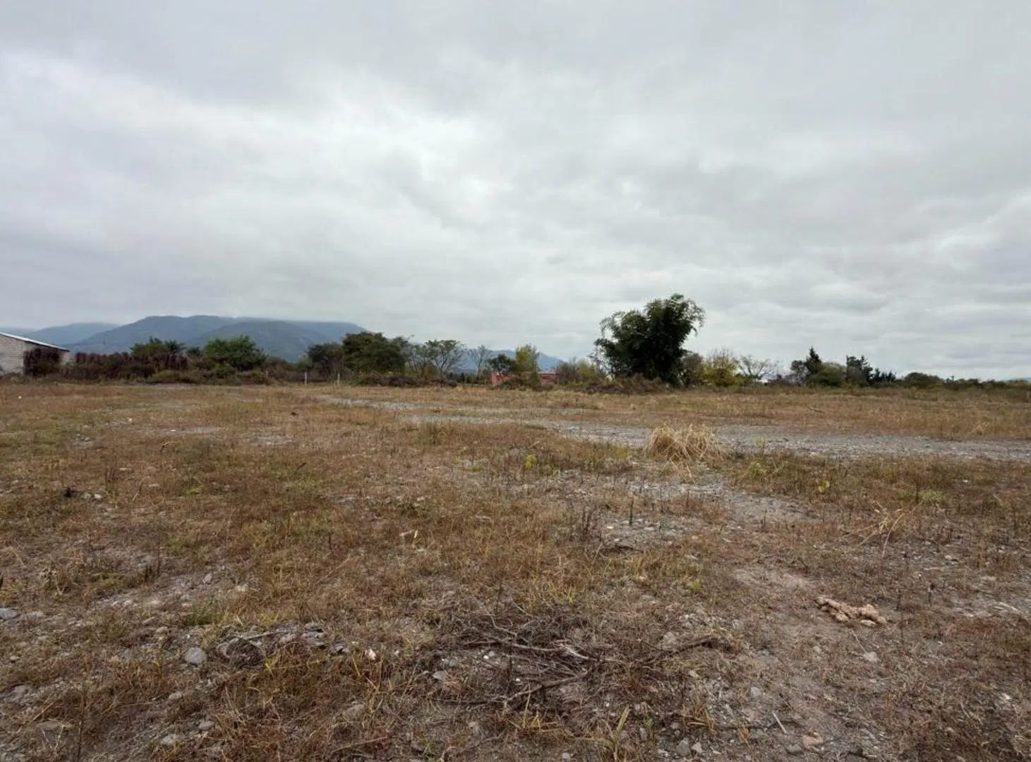 TERRENO VENTA CAMPO QUIJANO 1 HA PLANA 3