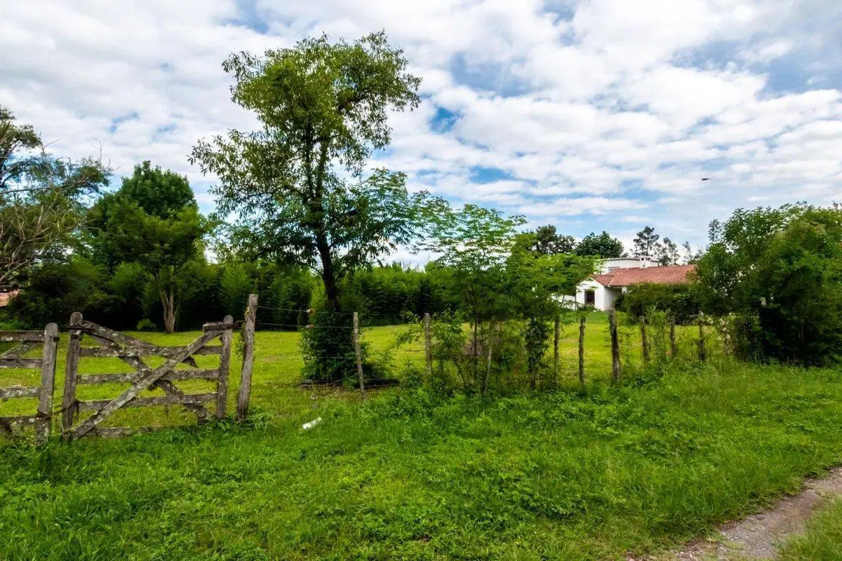 TERRENO VENTA SAN LORENZO 2150M2 5