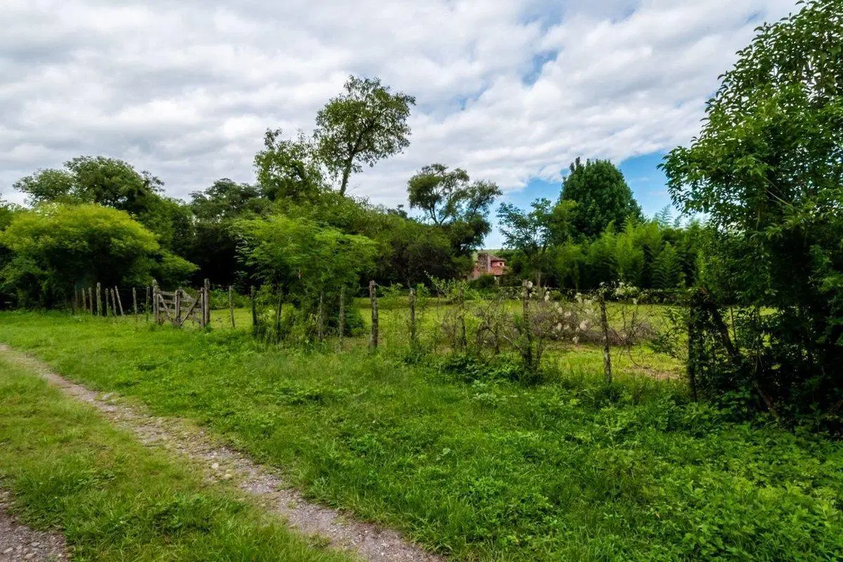 TERRENO VENTA SAN LORENZO 2150M2 3