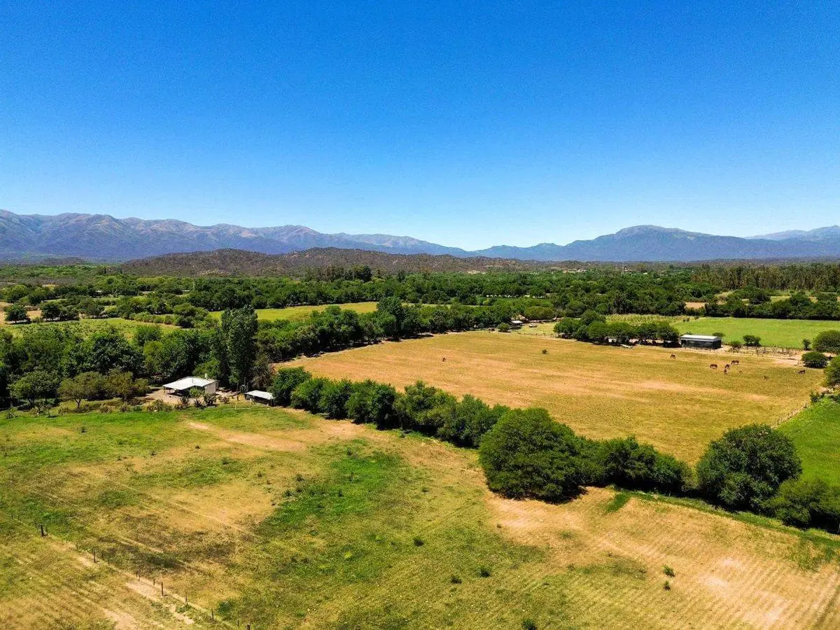 CAMPO 23 HA EN VENTA FINCA LA ESPERANZA GUACHIPAS 2
