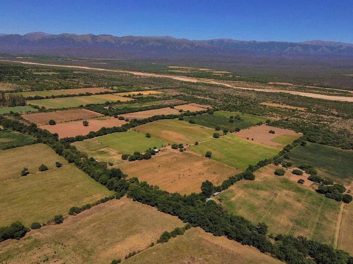 CAMPO 23 HA EN VENTA FINCA LA ESPERANZA GUACHIPAS 5