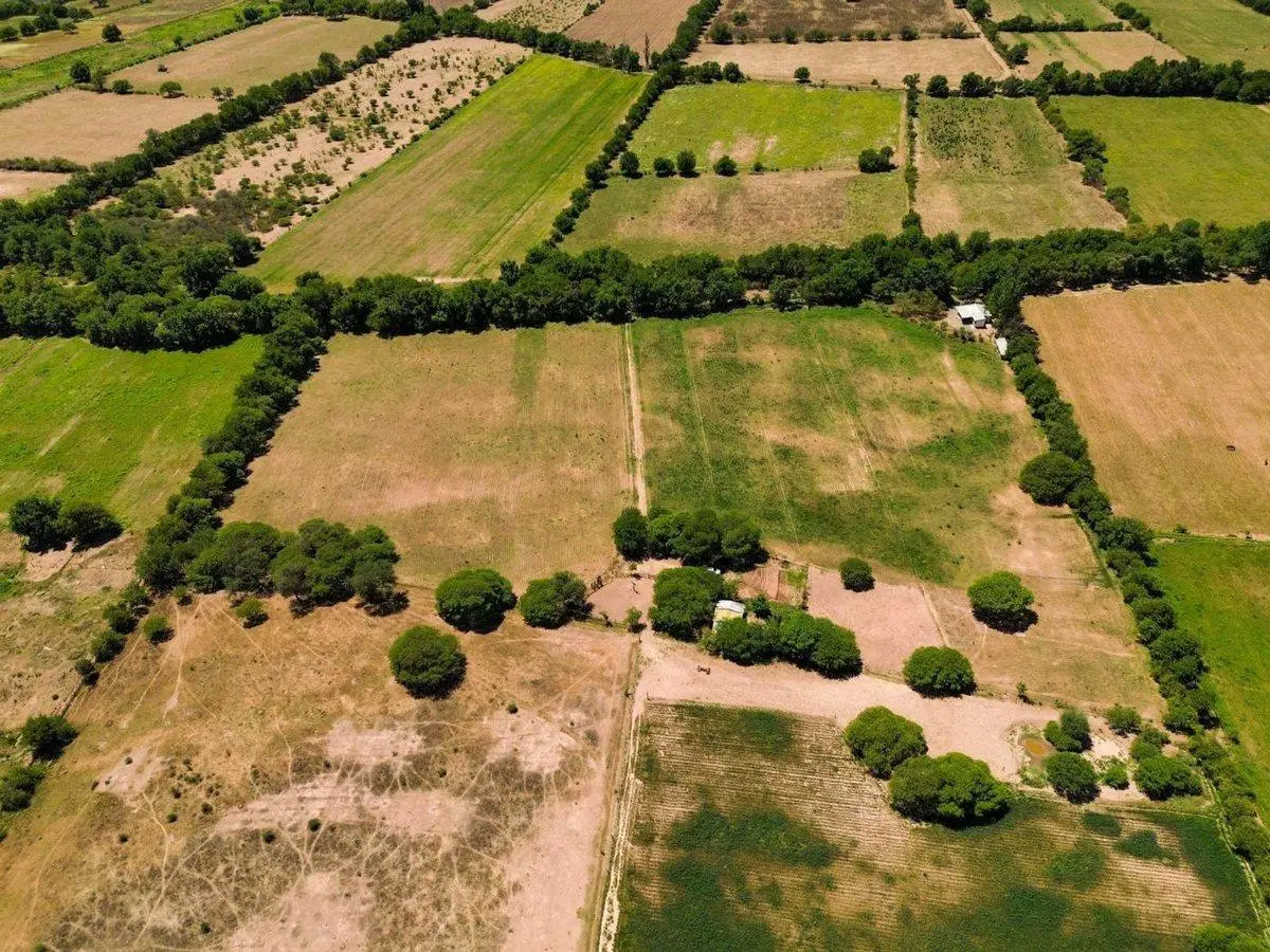CAMPO 23 HA EN VENTA FINCA LA ESPERANZA GUACHIPAS 4
