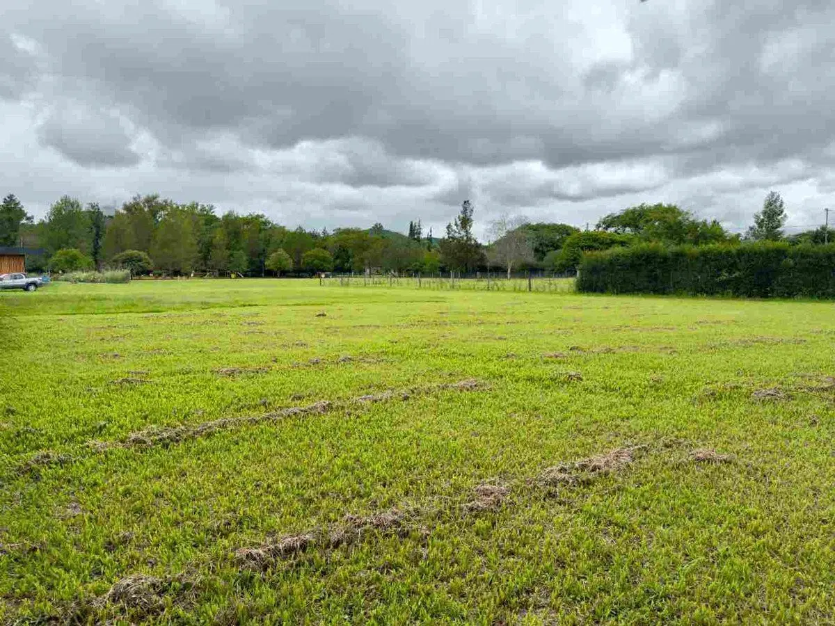 TERRENO EN VENTA 1893 M2 SANTA APOLONIA CERRILLOS 3