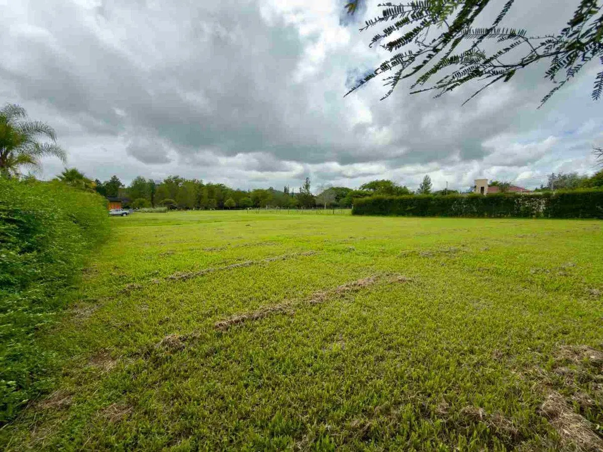 TERRENO EN VENTA 1893 M2 SANTA APOLONIA CERRILLOS 5