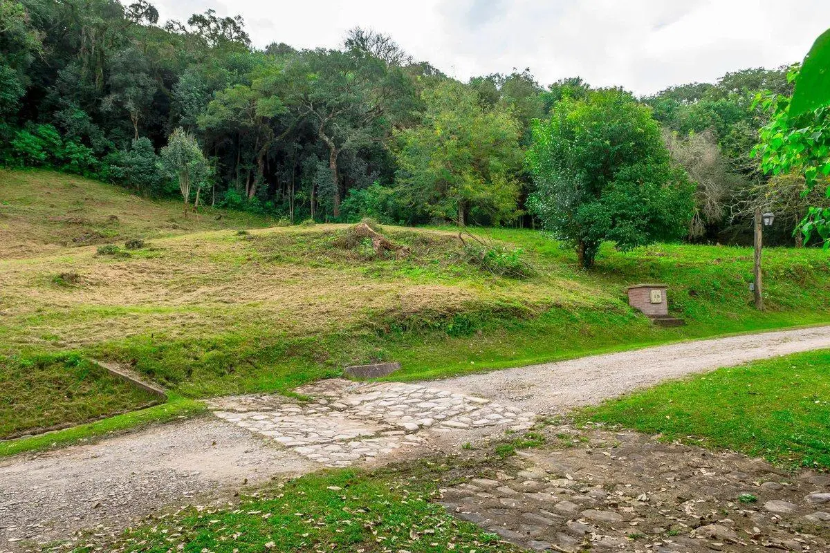 TERRENO EN VENTA LOS ZARZOS SAN LORENZO 2
