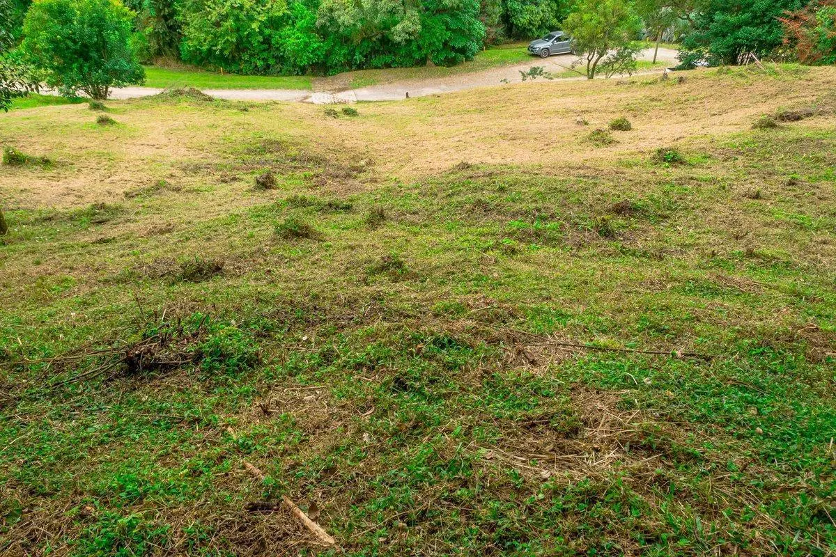 TERRENO EN VENTA LOS ZARZOS SAN LORENZO 5