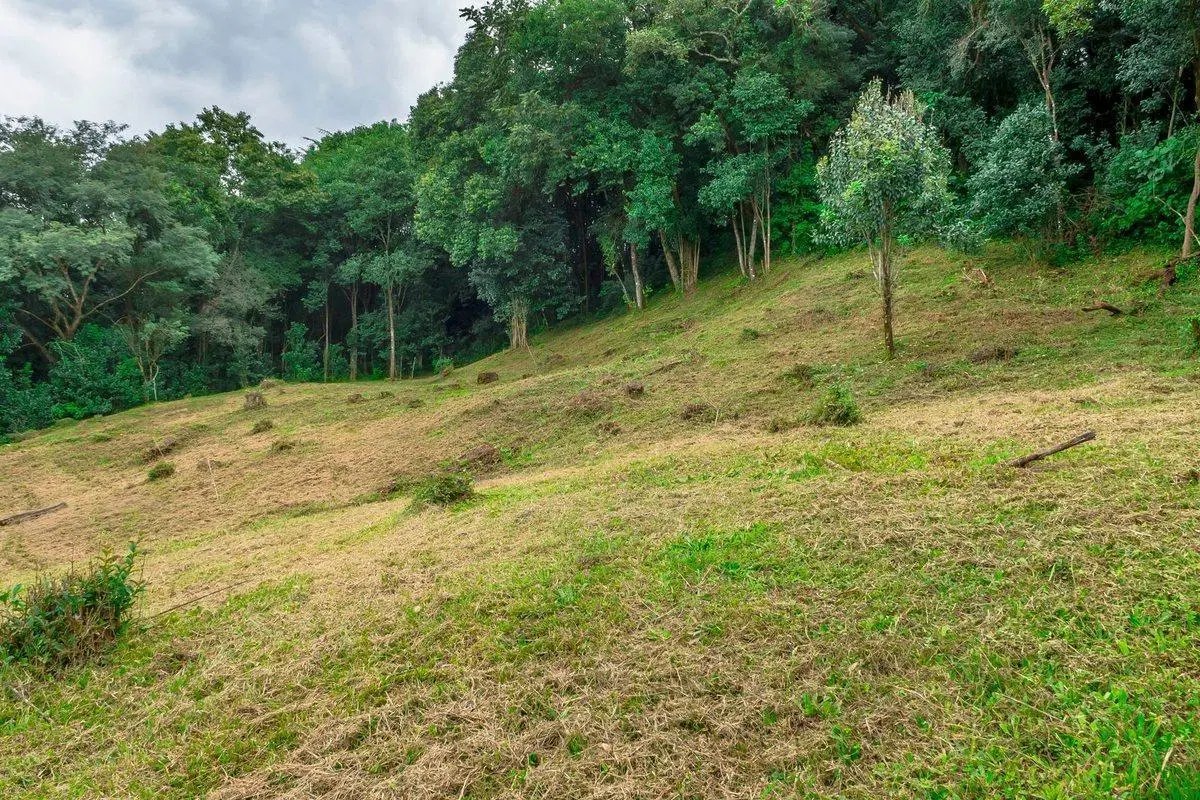 TERRENO EN VENTA LOS ZARZOS SAN LORENZO 3