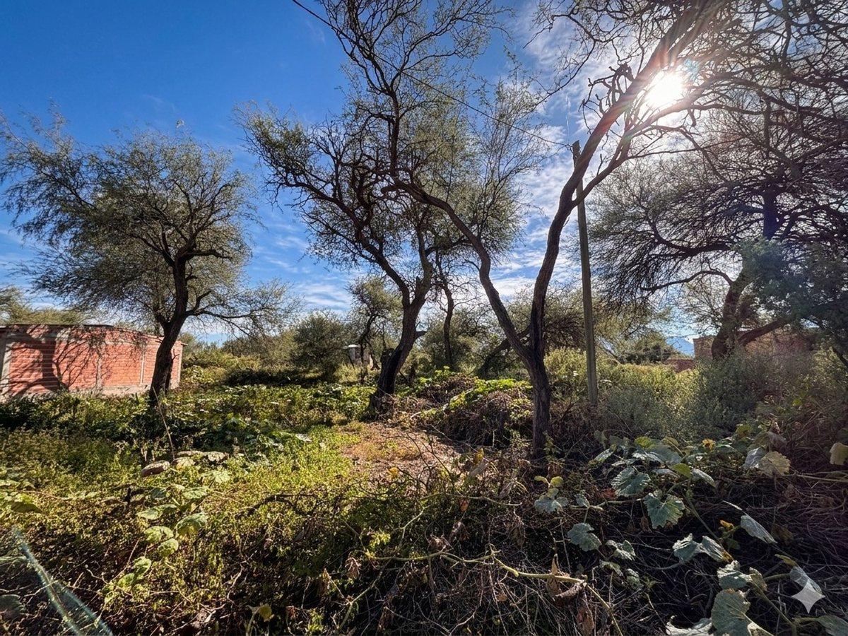 TERRENO EN VENTA PUEBLO NUEVO CAFAYATE 300M2