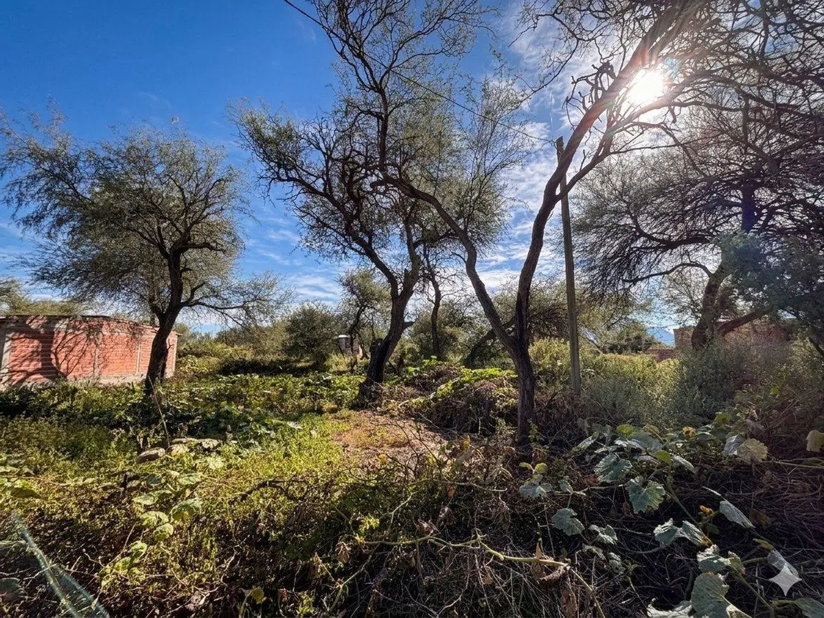TERRENO EN VENTA PUEBLO NUEVO CAFAYATE 300M2 4