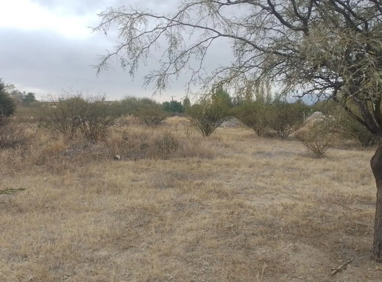TERRENO VENTA CAFAYATE VERTIENTES CLUB DE CAMPO 4