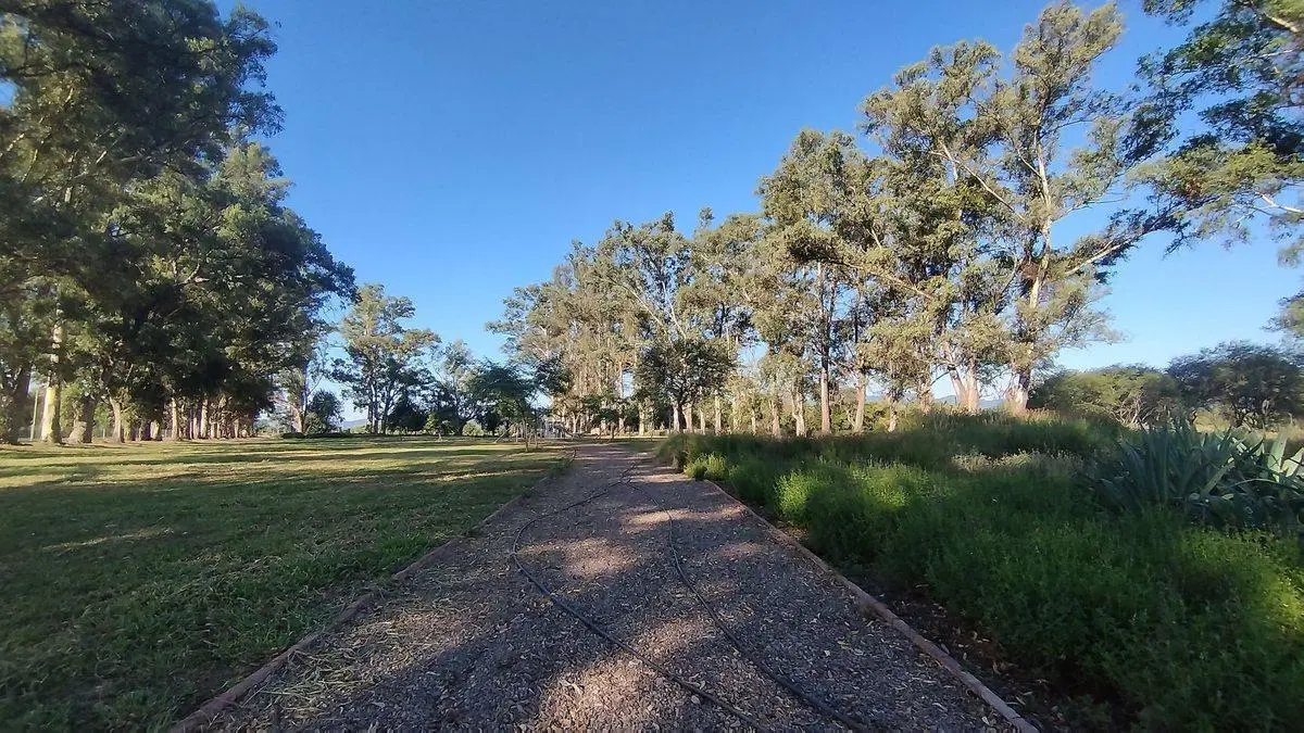 TERRENO VENTA LOS OLMOS 360 CERRILLOS 303 M2 3