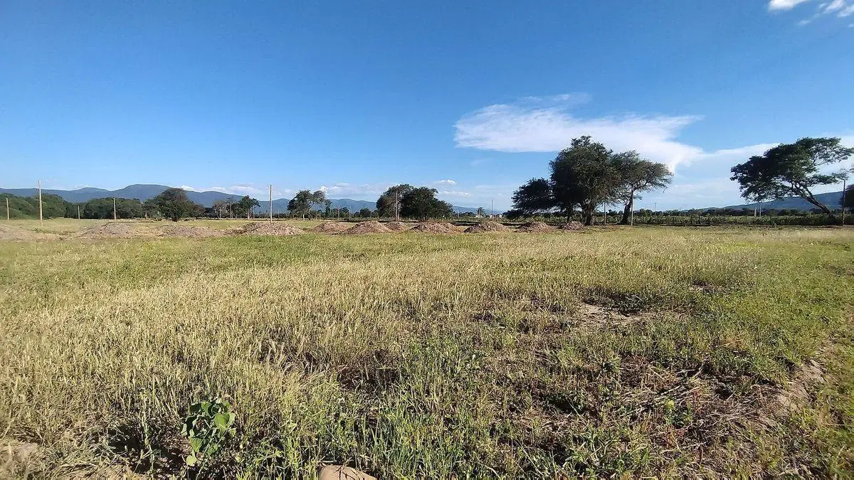 TERRENO VENTA LOS OLMOS 360 CERRILLOS 303 M2 5