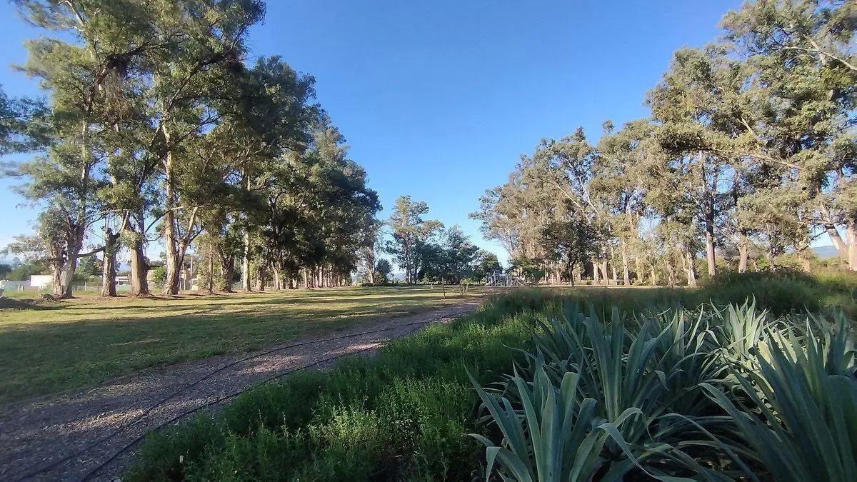 TERRENO VENTA LOS OLMOS 360 CERRILLOS 303 M2 4
