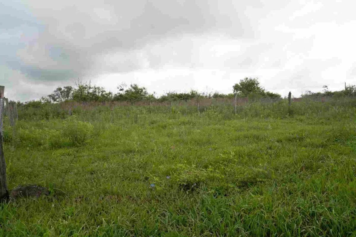 TERRENO EN VENTA/PERMUTA EN CAMPO QUIJANO 3