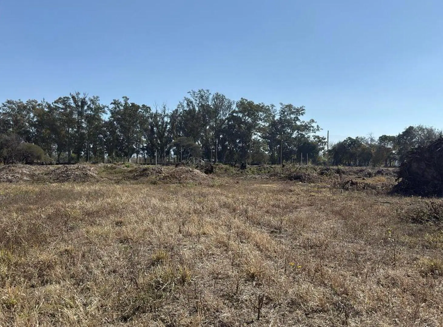 TERRENO VENTA LOS OLMOS 360 CERRILLOS 323 M2 5