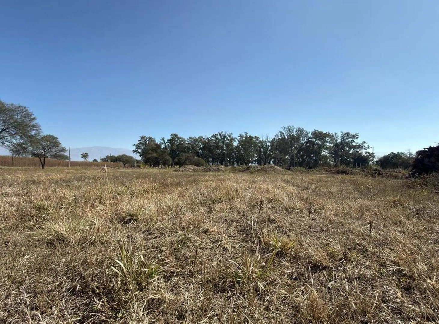TERRENO VENTA LOS OLMOS 360 CERRILLOS 323 M2 8
