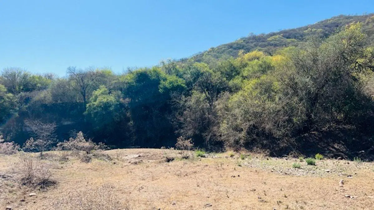 TERRENO 5HA VENTA EN FINCA LA CRUZ ZONA ESTE SALTA 3