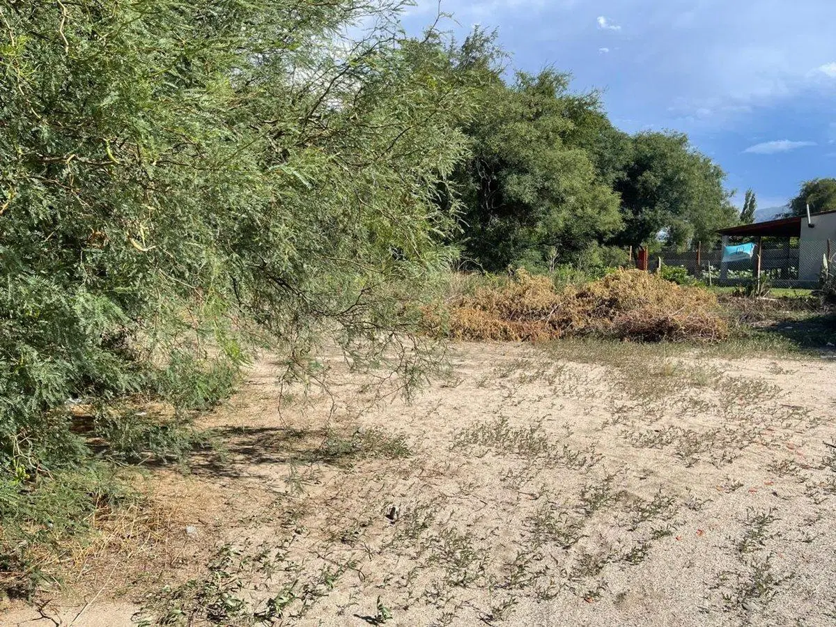 TERRENO EN VENTA WINE VILLAGE CAFAYATE 7