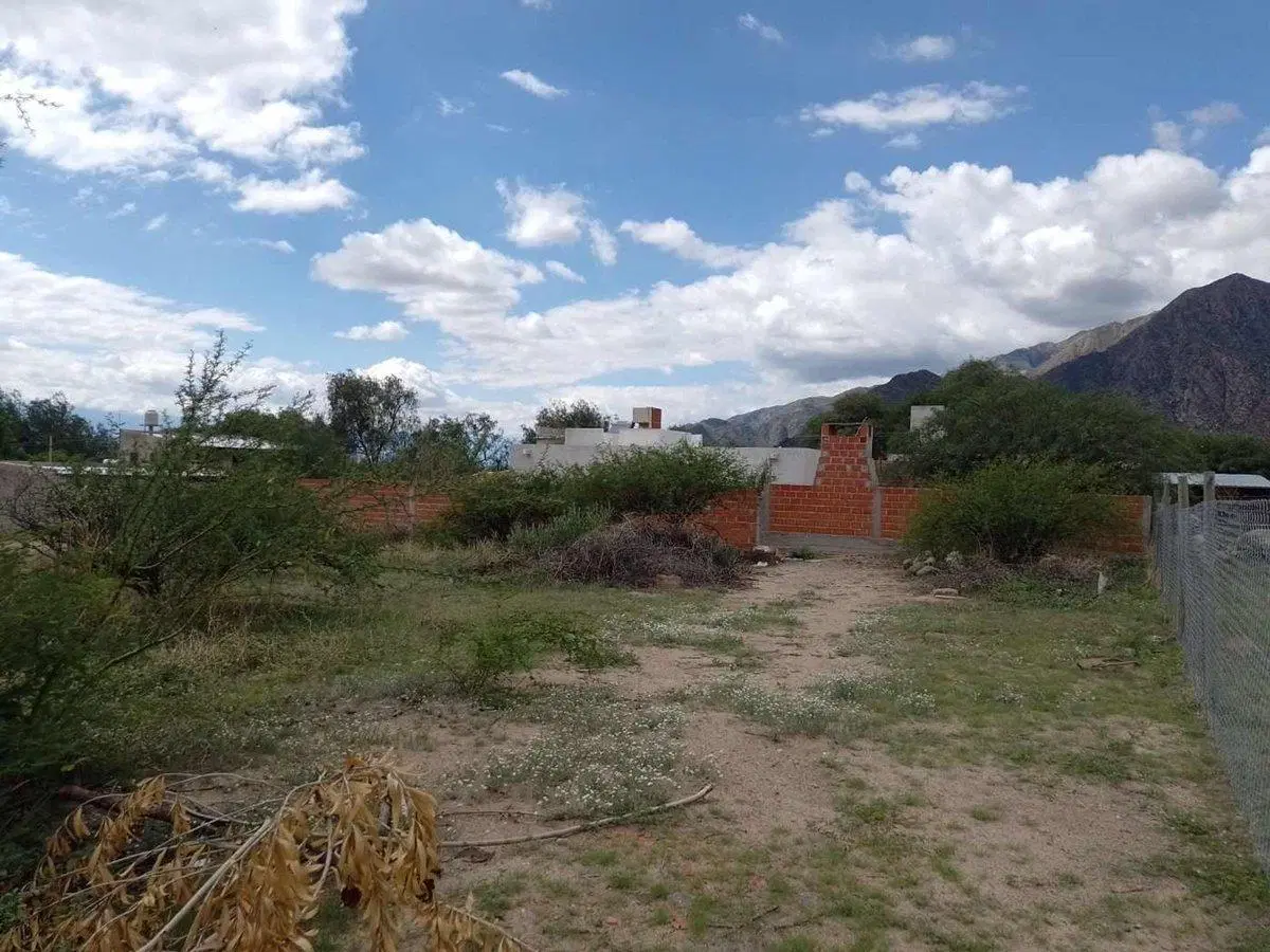 TERRENOS VENTA 300 MT2 PASEO LAS VIÑAS CAFAYATE 5