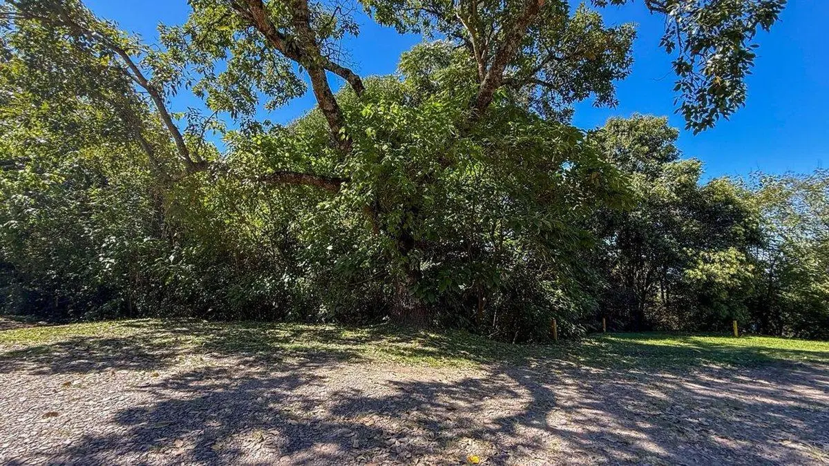 TERRENO EN VENTA EN BARRIO PRIVADO LOS ZARZOS 2