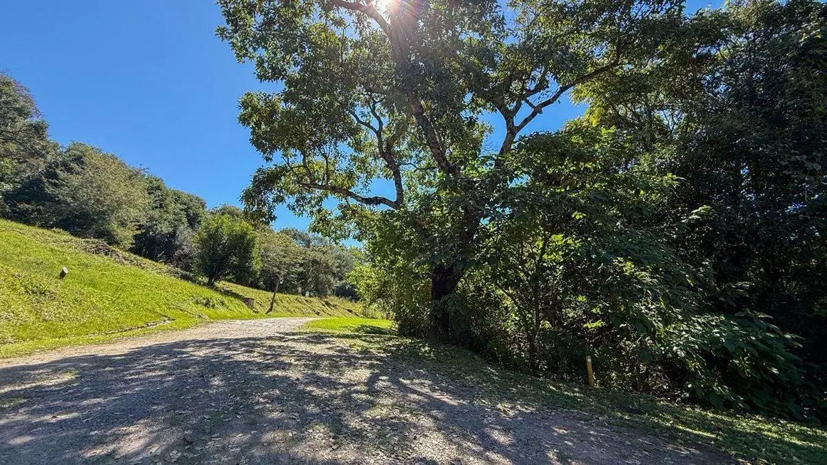 TERRENO EN VENTA EN BARRIO PRIVADO LOS ZARZOS 8