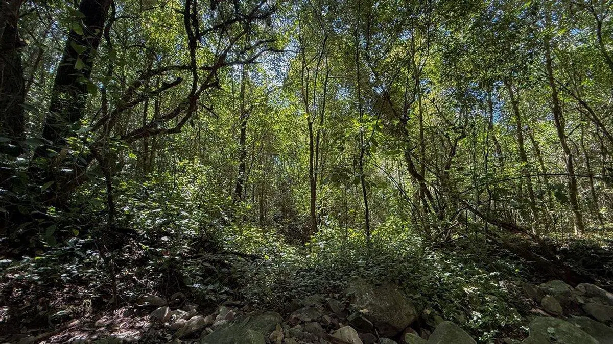 TERRENO EN VENTA EN BARRIO PRIVADO LOS ZARZOS 5