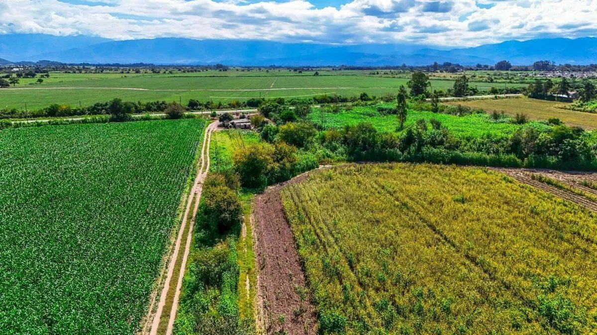 CAMPO VENTA 36 HECTAREAS SOBRE RP 21 CERRILLOS 4