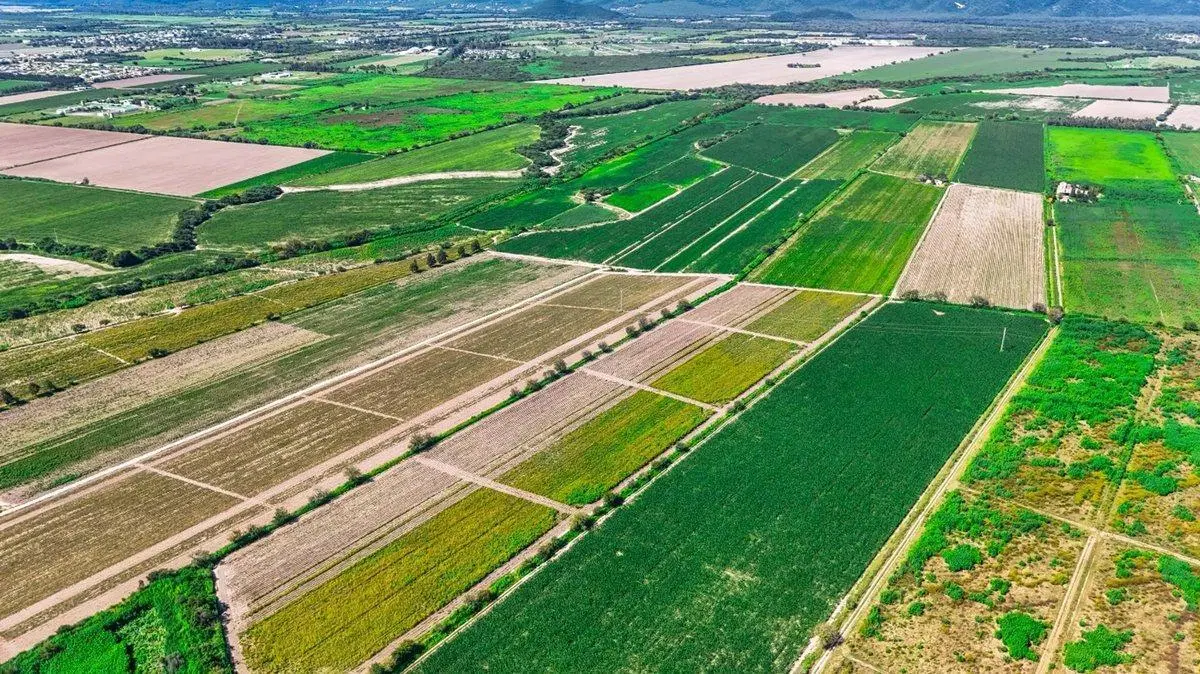 CAMPO VENTA 36 HECTAREAS SOBRE RP 21 CERRILLOS 2