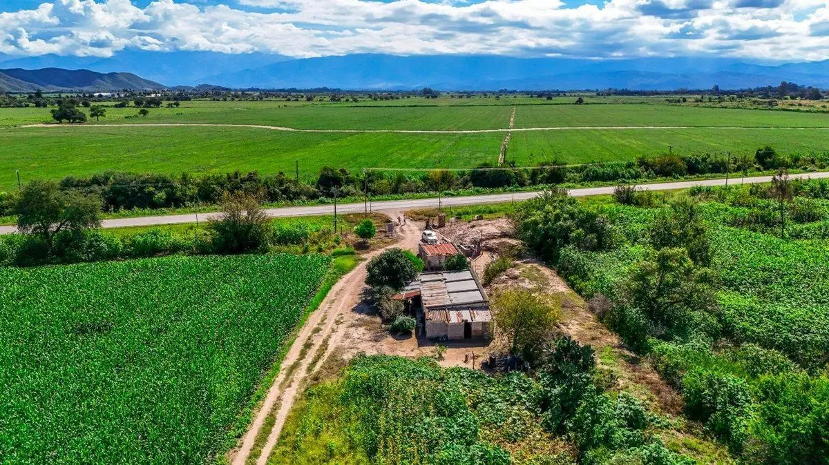 CAMPO VENTA 36 HECTAREAS SOBRE RP 21 CERRILLOS 8