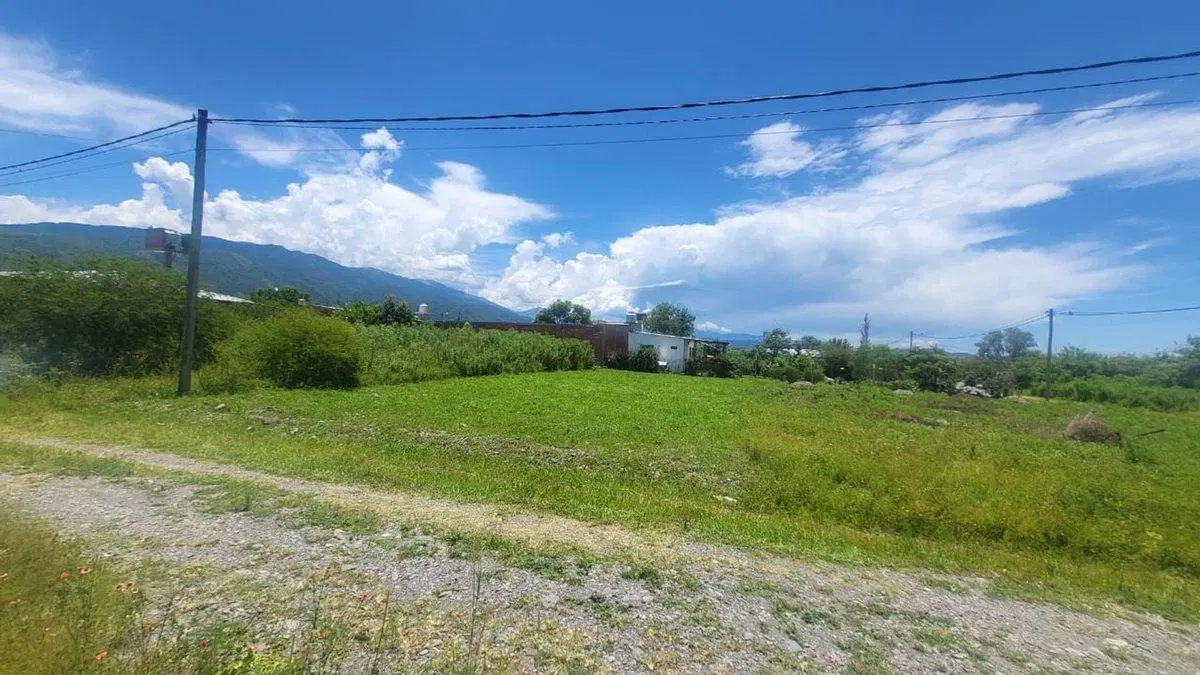 TERRENO VENTA CAMPO QUIJANO 450 M2 5