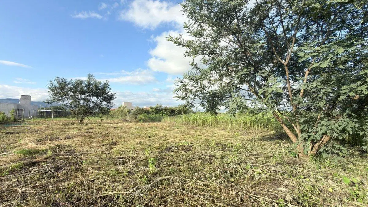 TERRENO VENTA EL MOLLAR II RP 24 ROSARIO DE LERMA 3