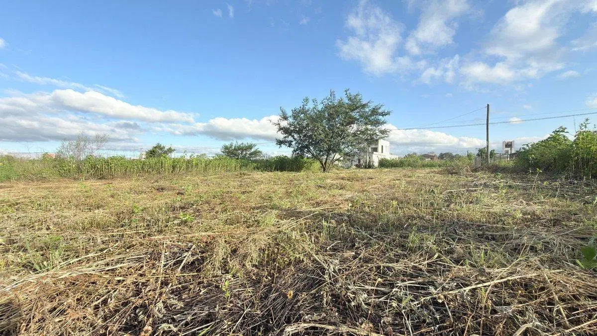 TERRENO VENTA EL MOLLAR II RP 24 ROSARIO DE LERMA 5