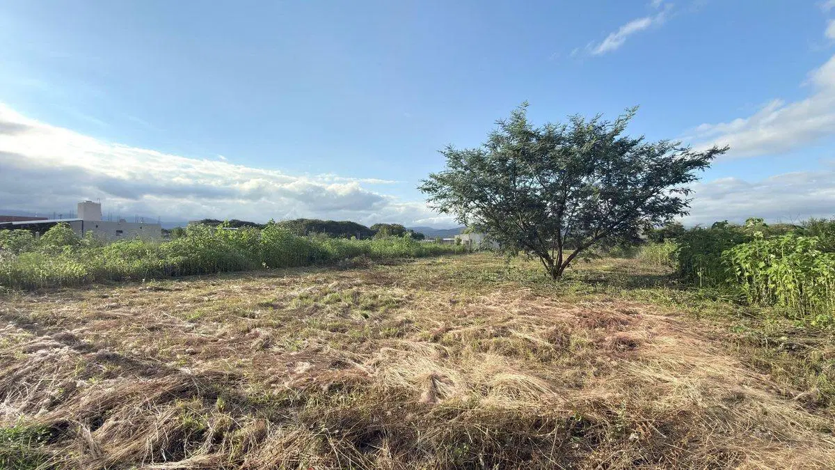 TERRENO VENTA EL MOLLAR II RP 24 ROSARIO DE LERMA 2