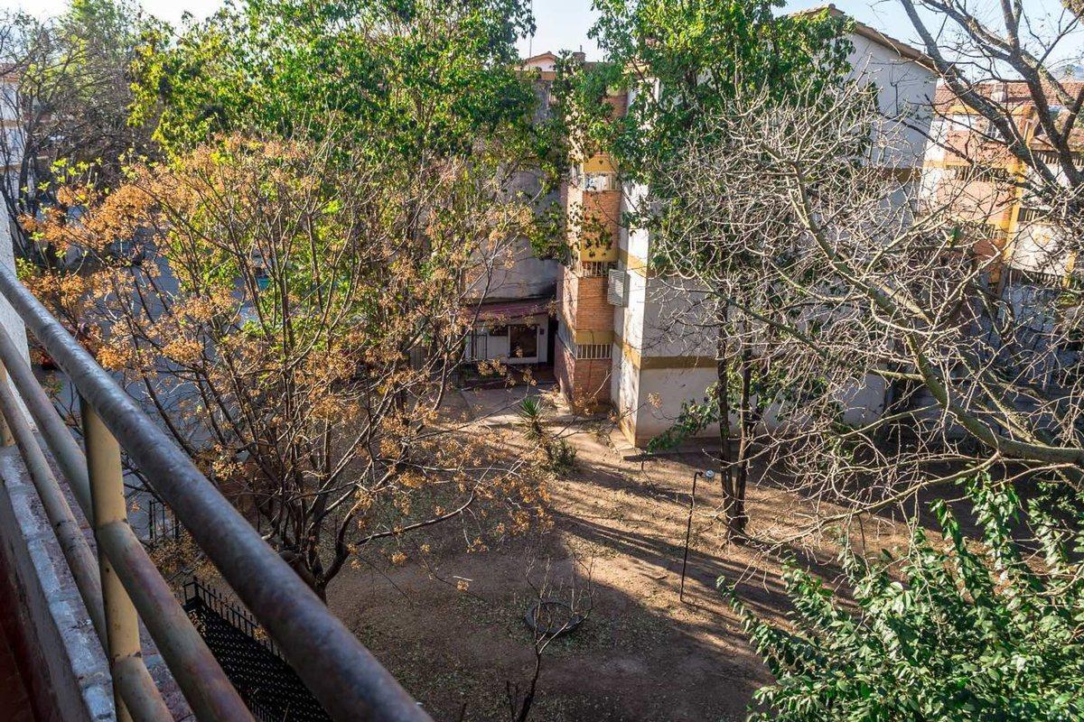 Foto de DEPARTAMENTO VENTA PARQUE BELGRANO 3 DORMITORIOS, imagen 5