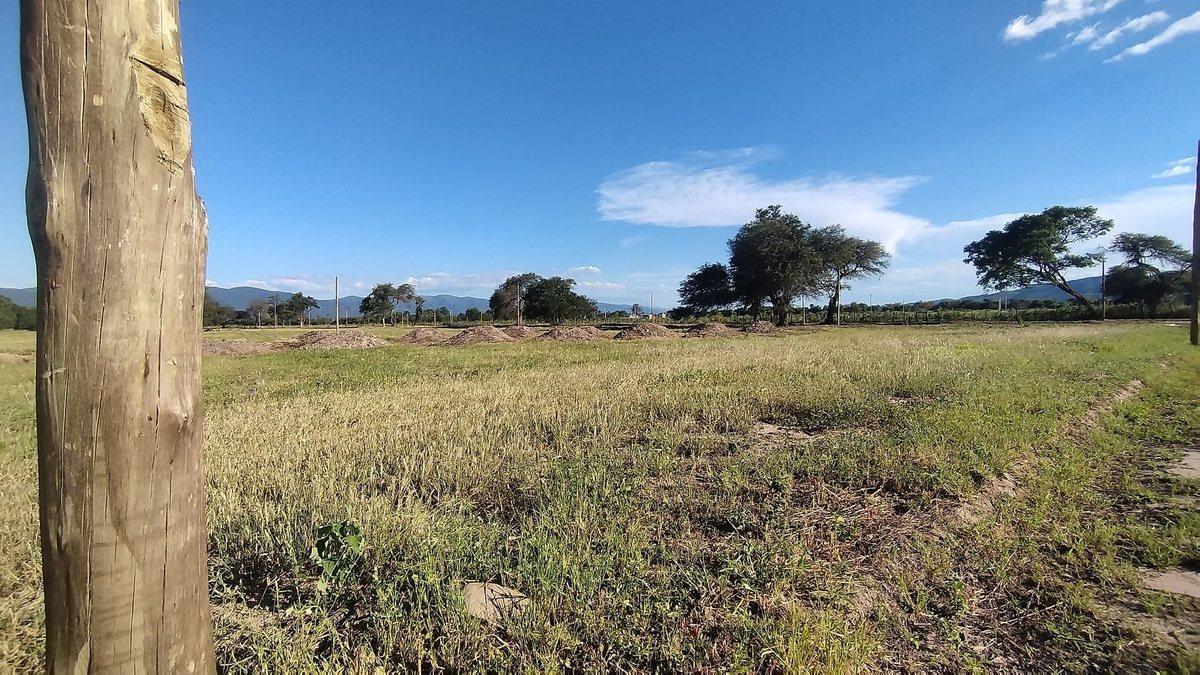 Foto de TERRENO VENTA LOS OLMOS 360 CERRILLOS 303 M2, imagen 2