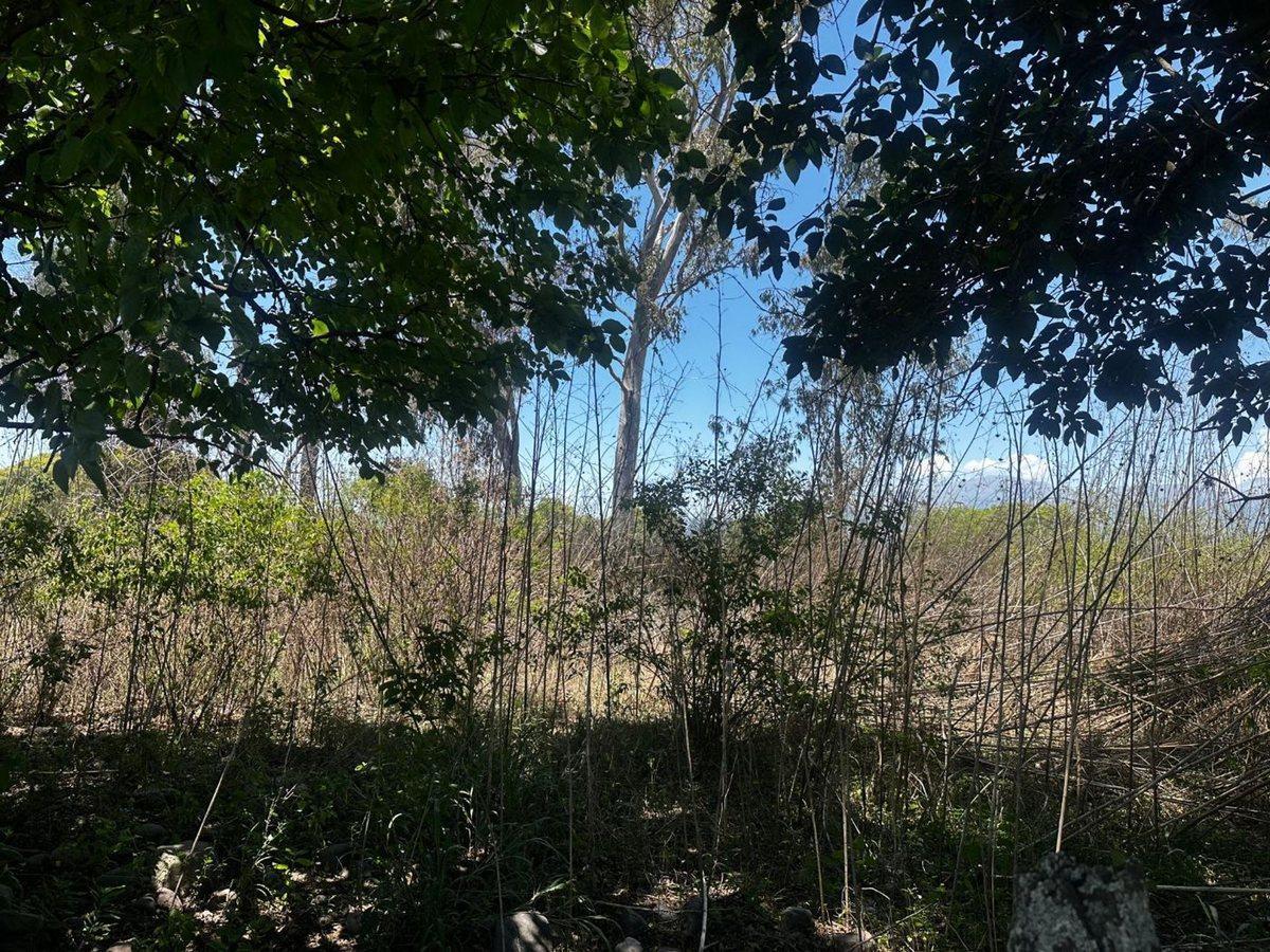 Foto de TERRENO VENTA SOBRE RUTA 36 CAMPO QUIJANO, imagen 4