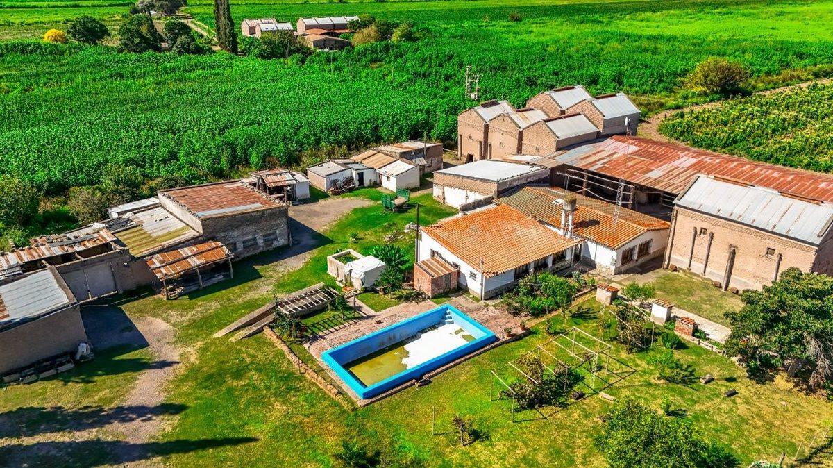 Foto de CAMPO VENTA 23 HECTAREAS RP 21 CERRILLOS, imagen 5