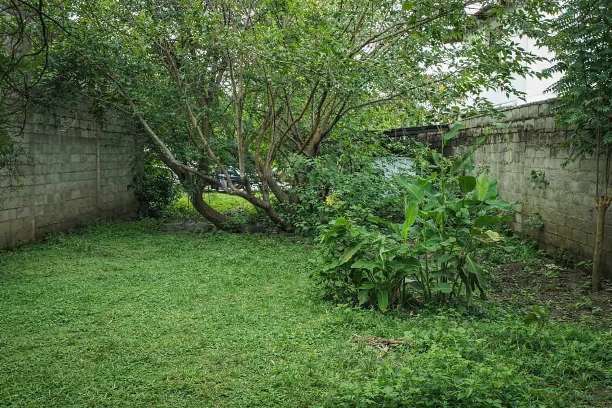 Foto de TERRENO VENTA ZONA NORTE BARRIO LAMADRID, imagen 3