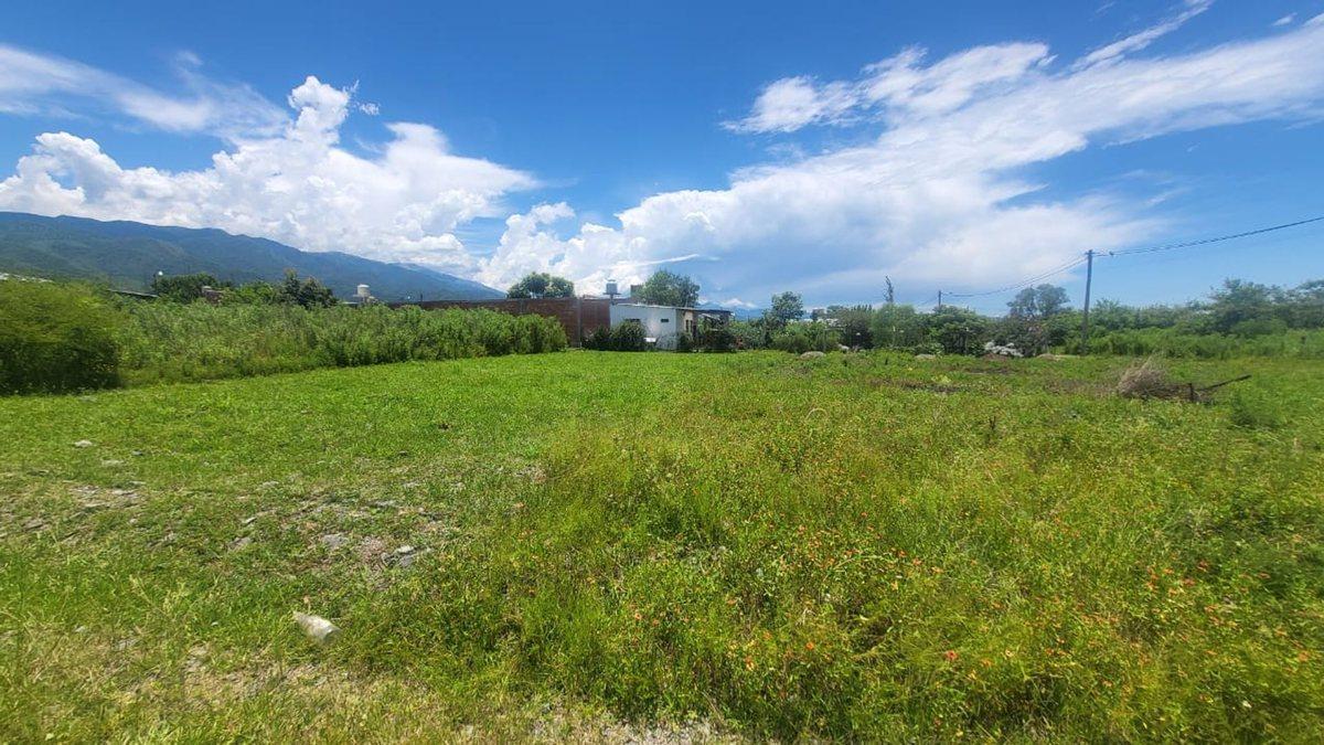 Foto de TERRENO VENTA CAMPO QUIJANO 450 M2, imagen 5