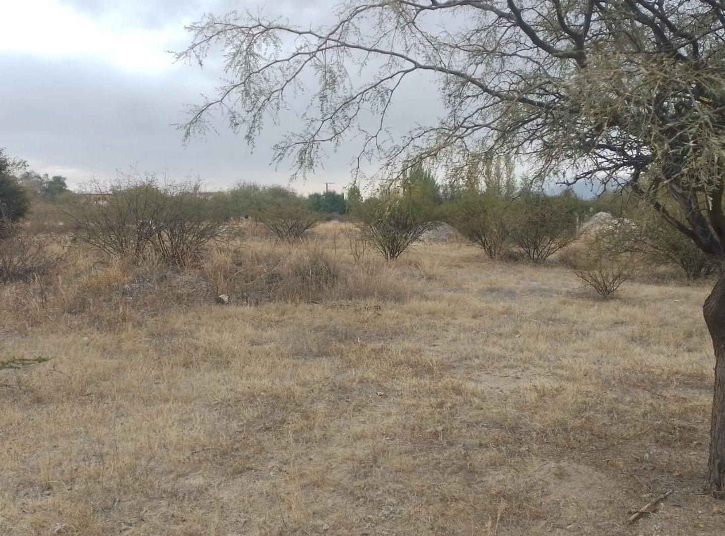 Foto de TERRENO ESQUINA VENTA CAFAYATE VERTIENTES, imagen 5