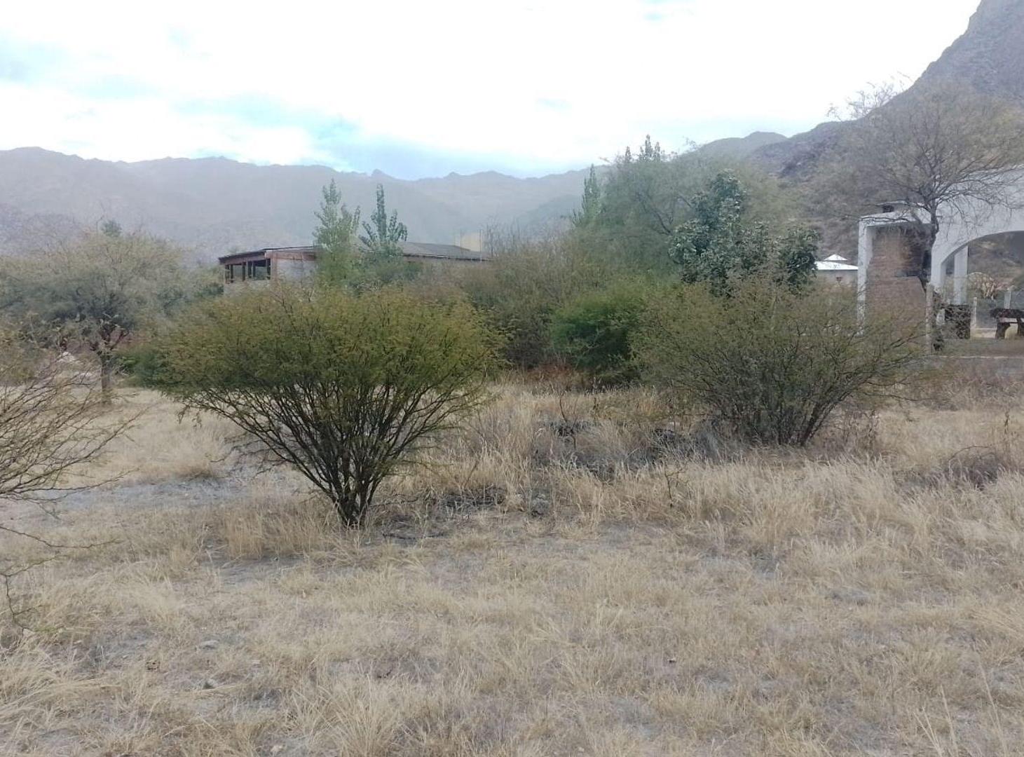 Foto de TERRENO ESQUINA VENTA CAFAYATE VERTIENTES, imagen 3
