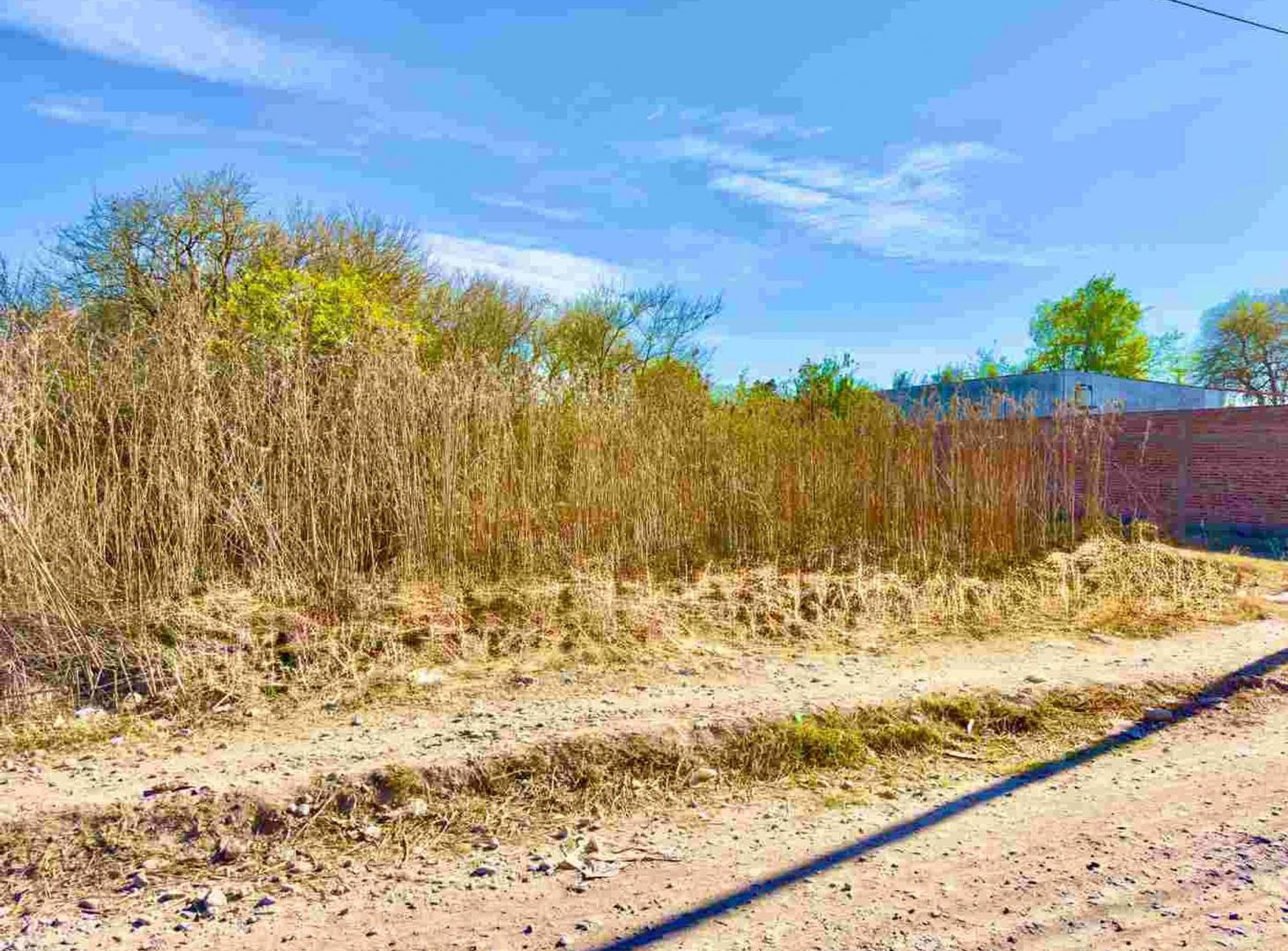 Foto de TERRENO 460 M2 IDEAL GALPON A METROS RUTA 26, imagen 5