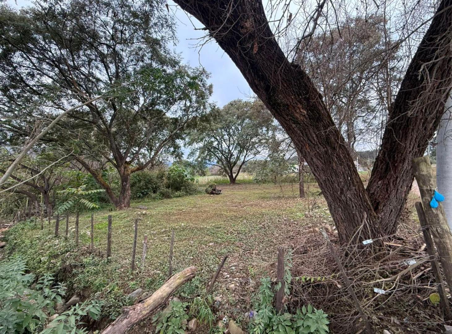 Foto de TERRENO EN VENTA EN VAQUEROS 442M2, imagen 3