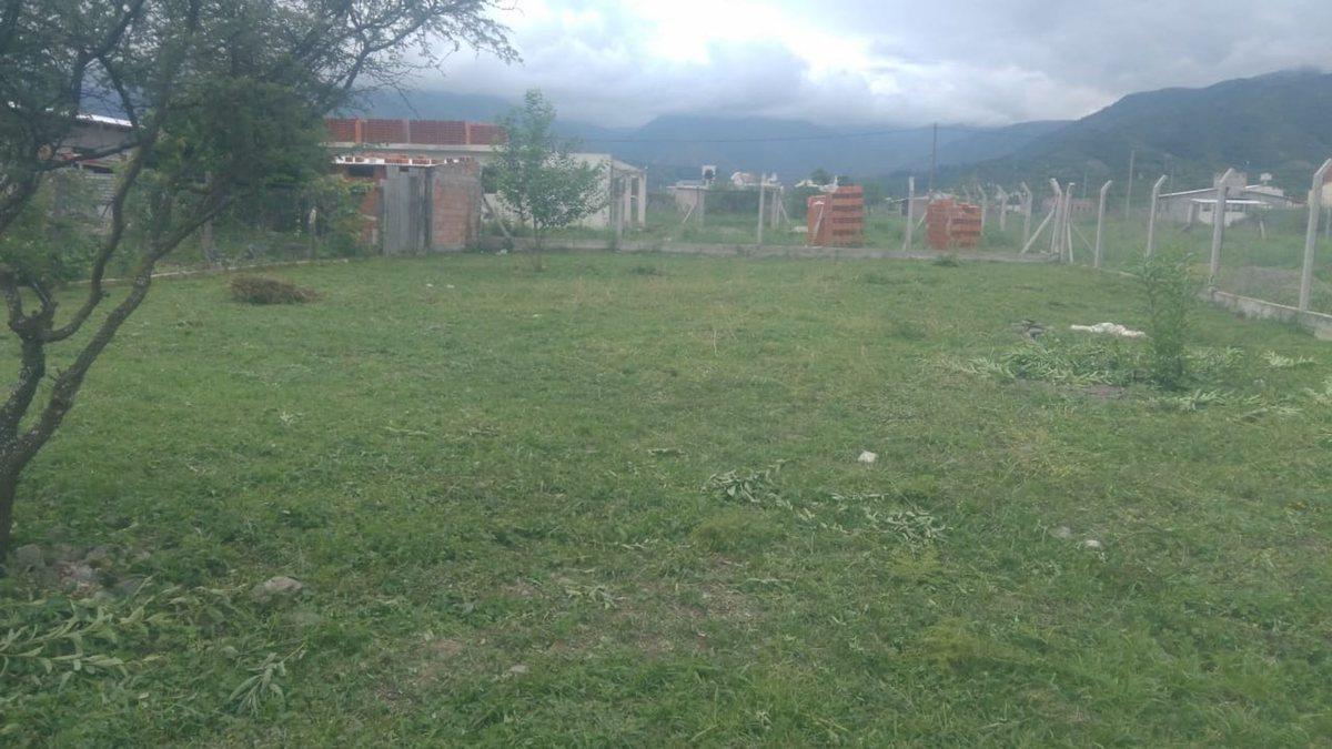 Foto de TERRENO VENTA CAMPO QUIJANO, imagen 2