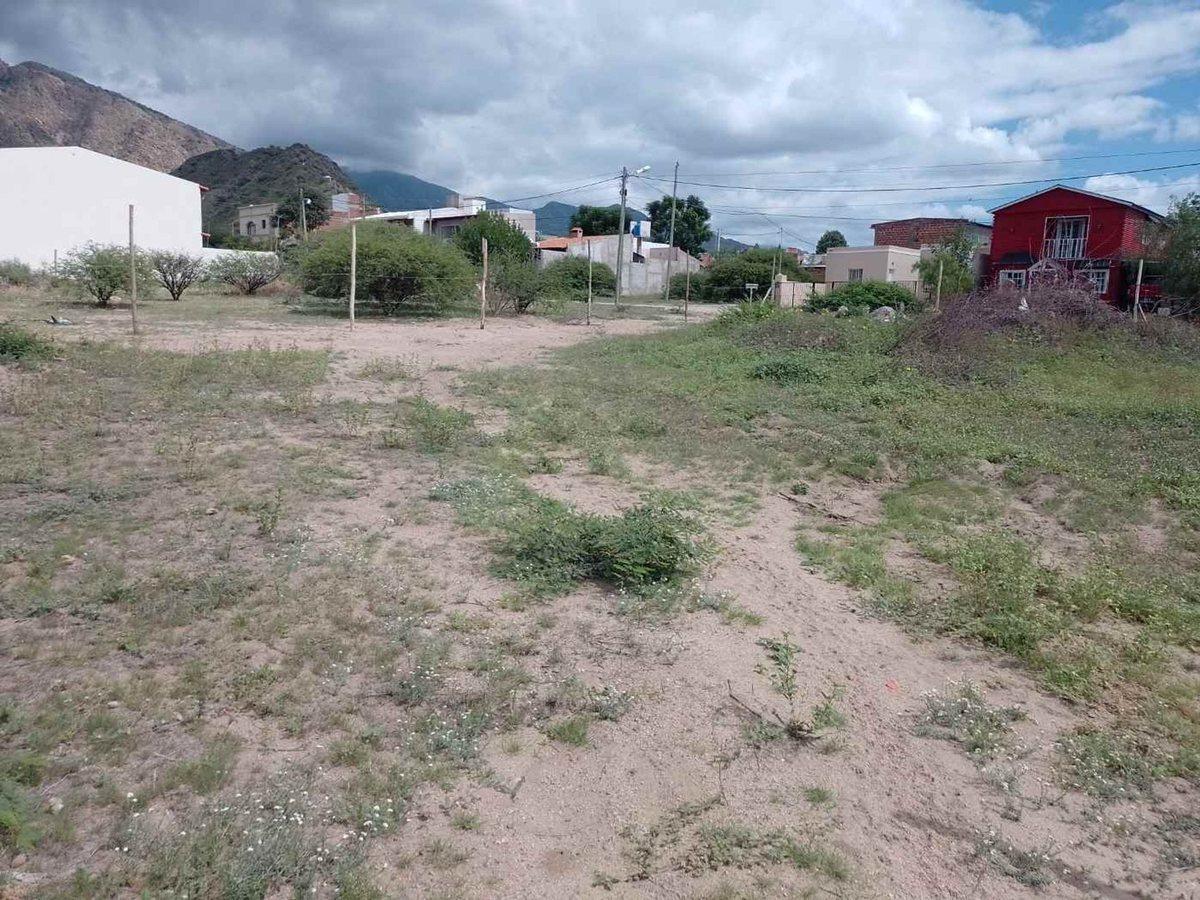 TERRENOS VENTA 300 MT2 PASEO LAS VIÑAS CAFAYATE