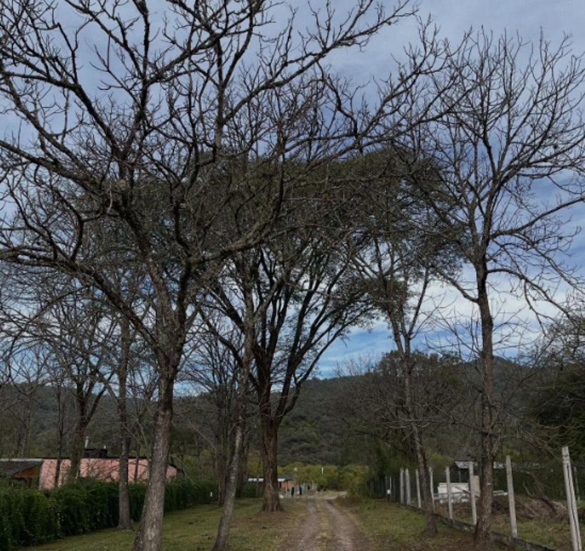 Foto de TERRENO EN VENTA ESQUINA VALLE ALEGRE LA CALDERA, imagen 2