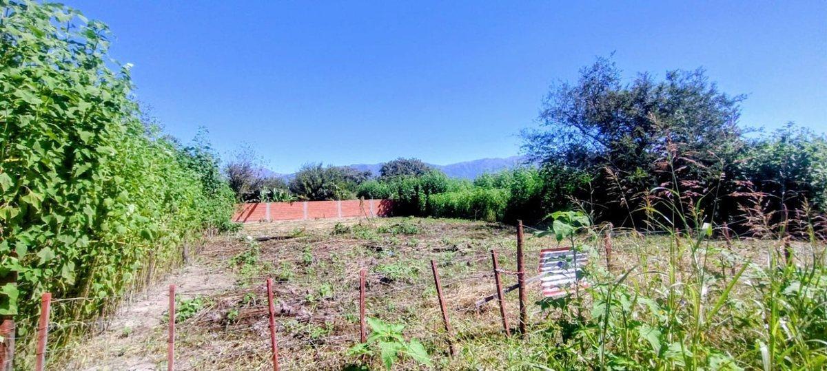 Foto de TERRENO EN VENTA EN VILLA LOLA LA SILLETA 800 M2, imagen 2