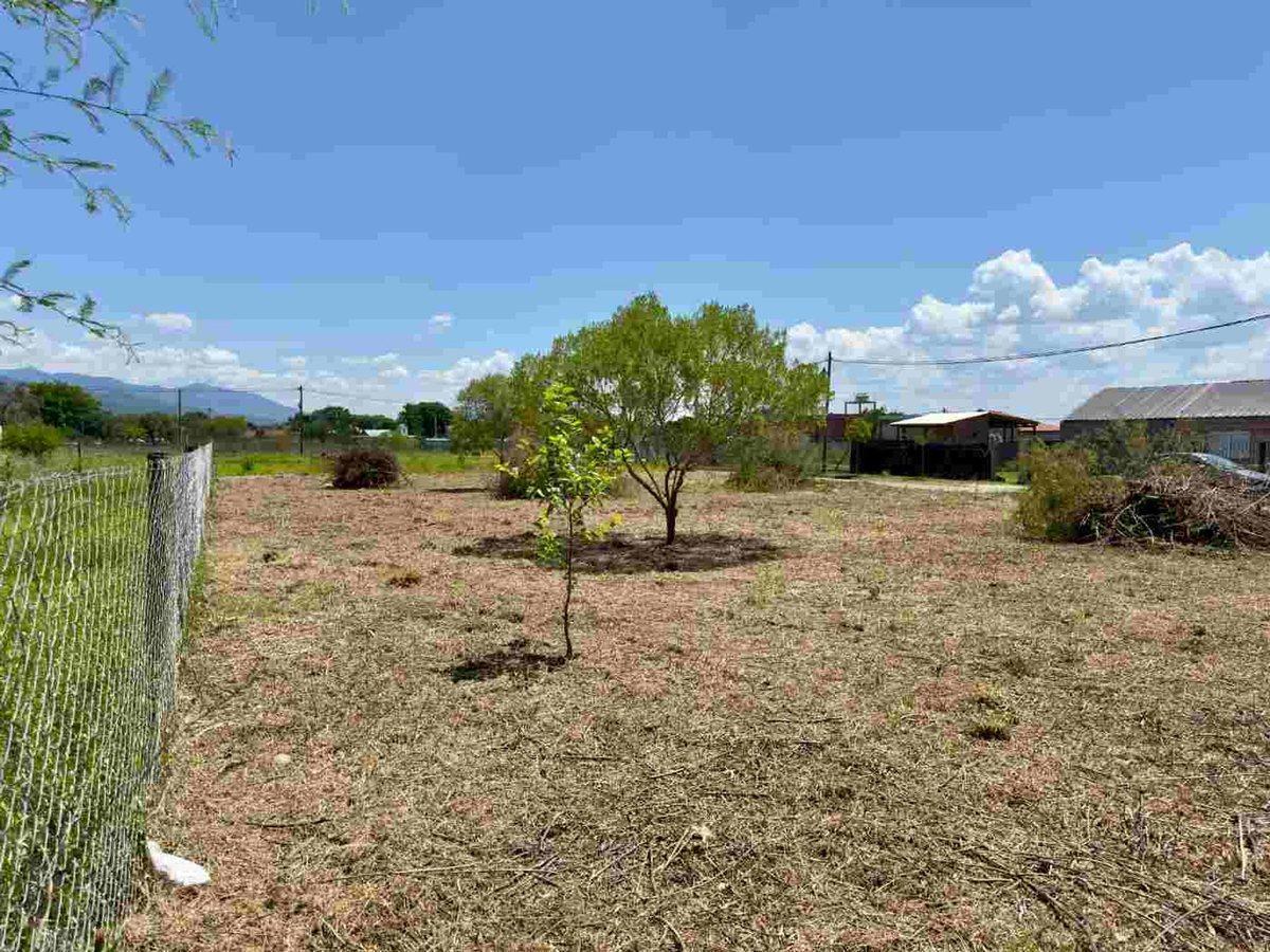Foto de VENTA TERRENO SOLARES DE ORTIZ LA SILLETA 715 M2, imagen 4